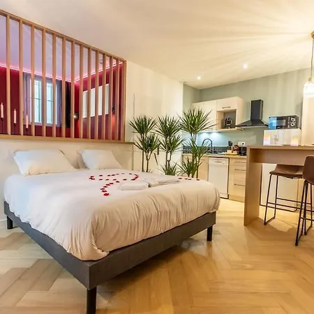 Loveroom En Centre Avec Jacuzzi - Notre Dame Appartamento