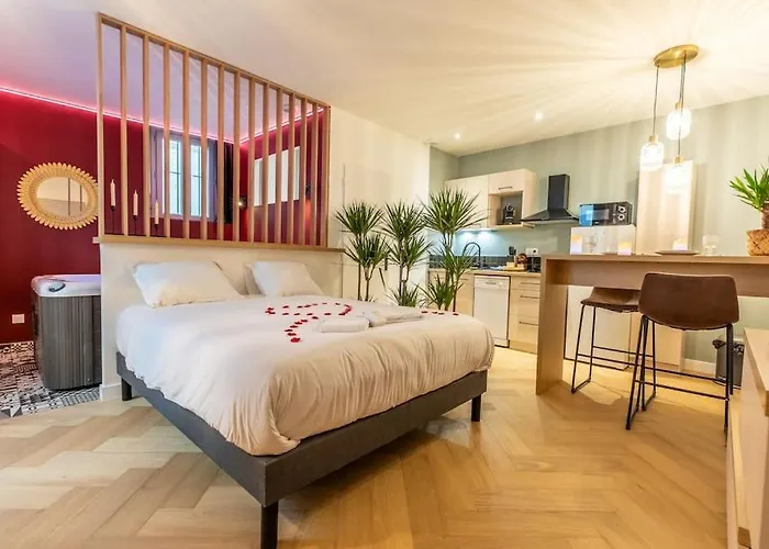 Loveroom En Centre Avec Jacuzzi - Notre Dame Apartment